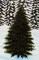 Painting a Christmas Tree in the Forest. image 6